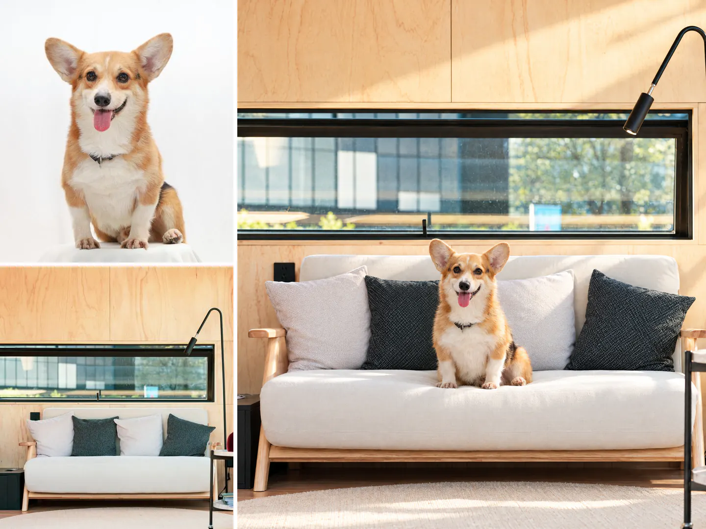 A la izquierda, dos referencias: un corgi sobre fondo blanco y un salón con un sofá blanco; a la derecha, la imagen generada con IA del corgi sentado en ese sofá